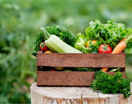 Culinary Farms